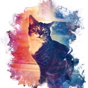 Meet your Posher, Sophia